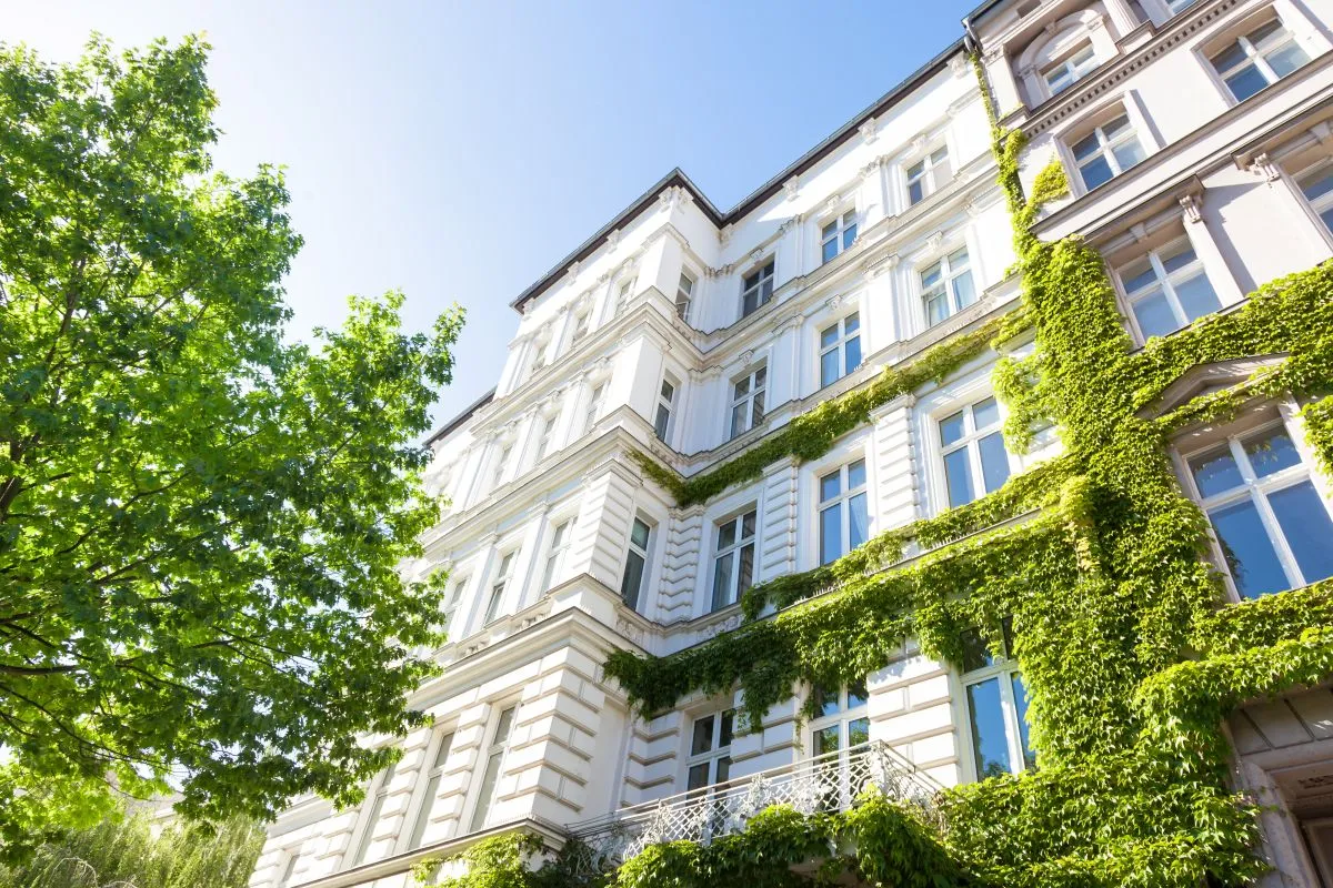 Franke Unternehmensgruppe – Immobilien – Altbau und Bäume in Deutschland